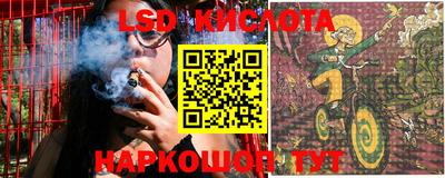гидра Краснознаменск