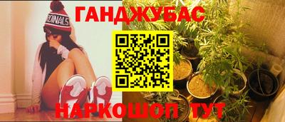 гидра Краснознаменск