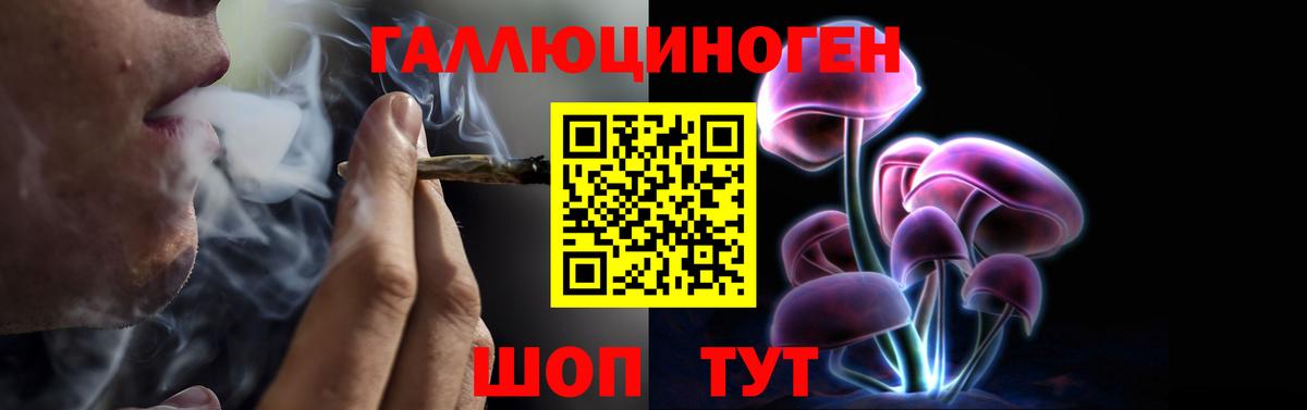 Каспийск  Псилоцибиновые грибы мицелий  Вход с VPN 